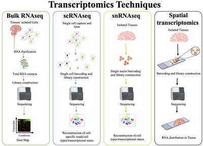 Publicly available ex vivo transcriptomics datasets to explore CNS physiology and neurodegeneration: state of the art and perspectives